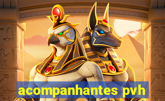 acompanhantes pvh